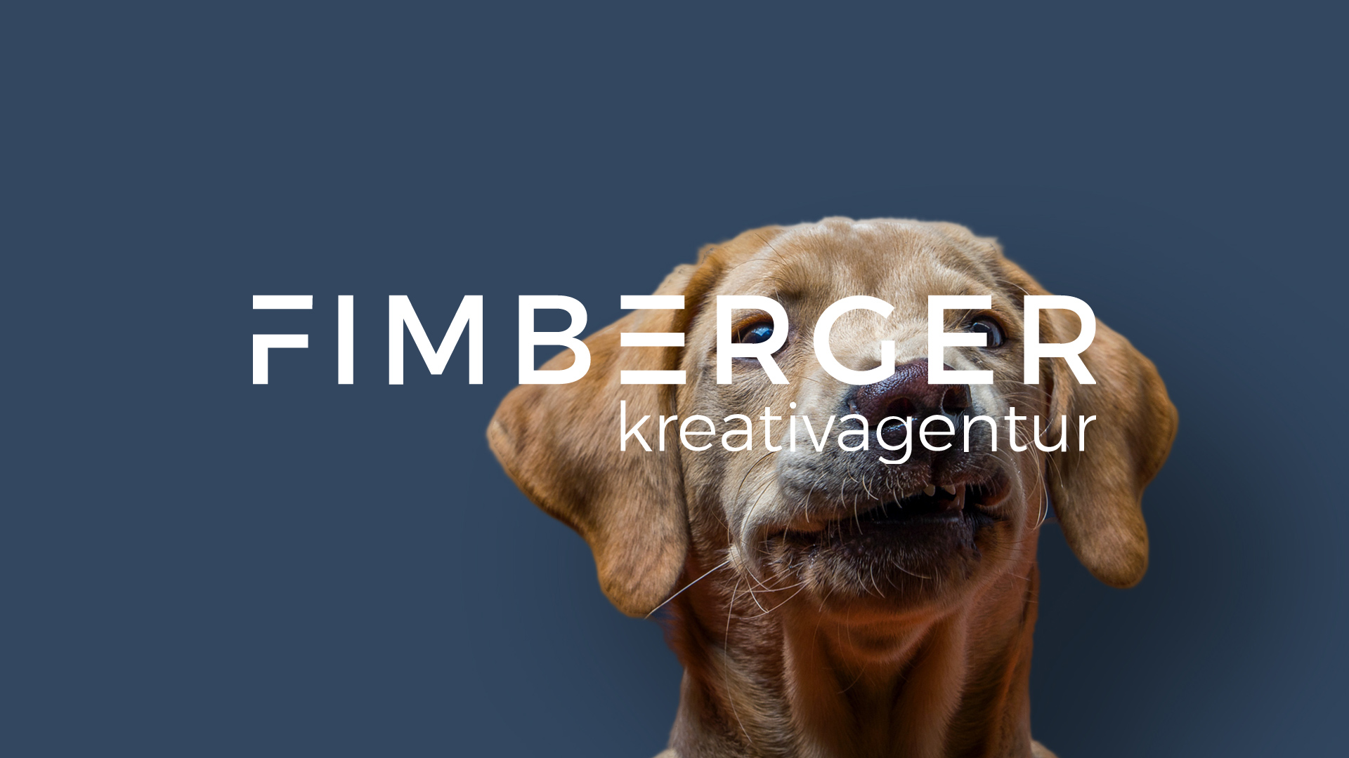 Fimberger Kreativagentur